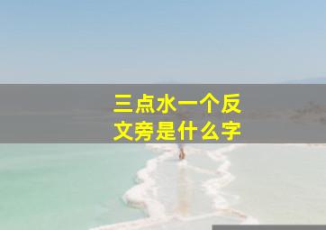 三点水一个反文旁是什么字