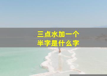 三点水加一个半字是什么字