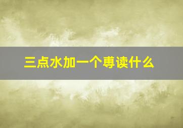 三点水加一个尃读什么