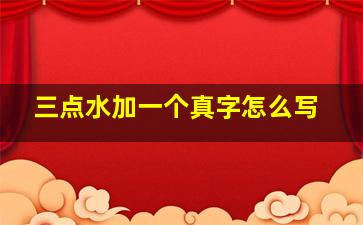 三点水加一个真字怎么写