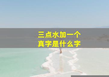 三点水加一个真字是什么字