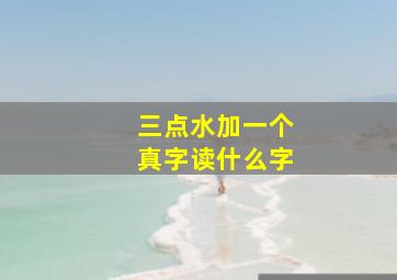 三点水加一个真字读什么字