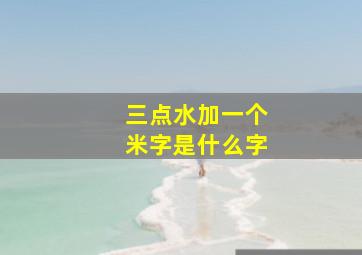 三点水加一个米字是什么字