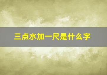 三点水加一尺是什么字