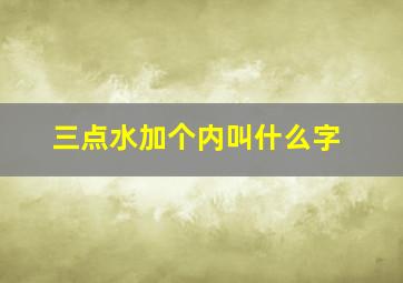 三点水加个内叫什么字