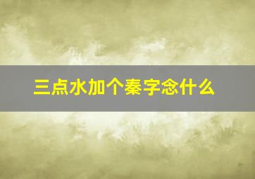 三点水加个秦字念什么