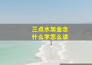 三点水加金念什么字怎么读