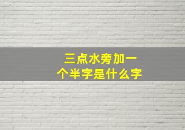 三点水旁加一个半字是什么字