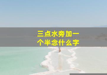 三点水旁加一个半念什么字