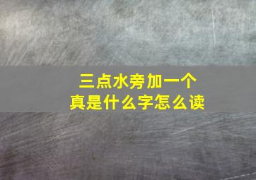 三点水旁加一个真是什么字怎么读