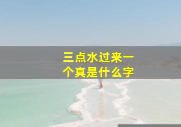 三点水过来一个真是什么字