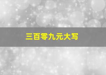 三百零九元大写