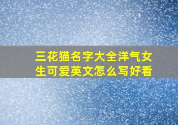 三花猫名字大全洋气女生可爱英文怎么写好看