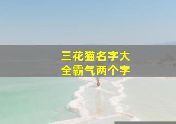 三花猫名字大全霸气两个字