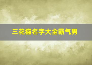 三花猫名字大全霸气男