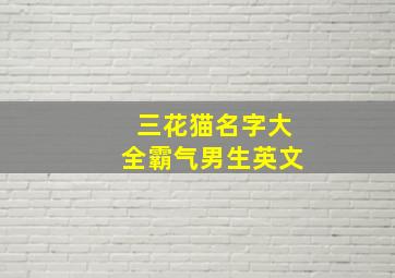 三花猫名字大全霸气男生英文