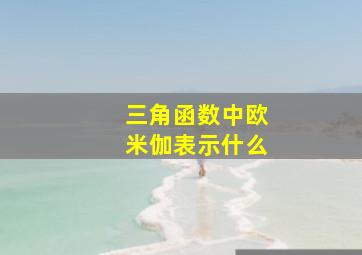 三角函数中欧米伽表示什么