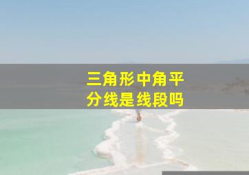 三角形中角平分线是线段吗