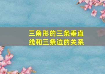 三角形的三条垂直线和三条边的关系