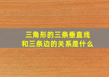 三角形的三条垂直线和三条边的关系是什么