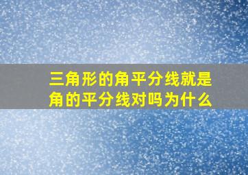 三角形的角平分线就是角的平分线对吗为什么