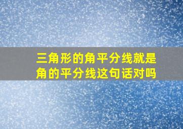 三角形的角平分线就是角的平分线这句话对吗