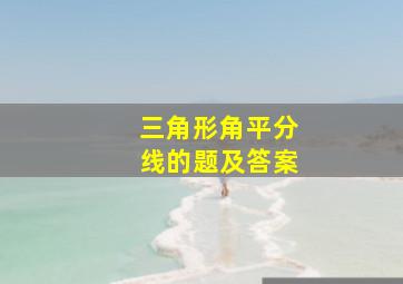 三角形角平分线的题及答案