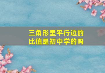 三角形里平行边的比值是初中学的吗