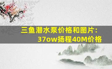 三鱼潜水泵价格和图片:37ow扬程40M价格