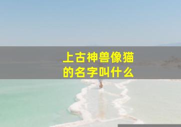 上古神兽像猫的名字叫什么