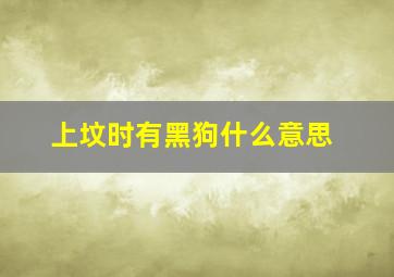 上坟时有黑狗什么意思