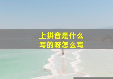 上拼音是什么写的呀怎么写