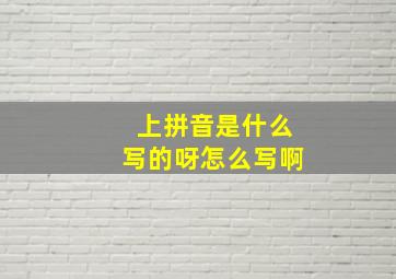 上拼音是什么写的呀怎么写啊