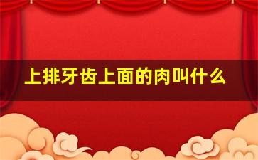 上排牙齿上面的肉叫什么