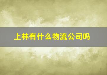 上林有什么物流公司吗