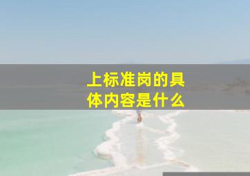 上标准岗的具体内容是什么