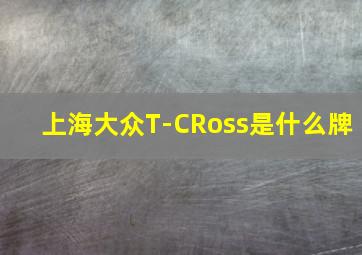 上海大众T-CRoss是什么牌