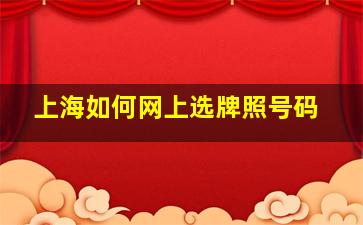 上海如何网上选牌照号码