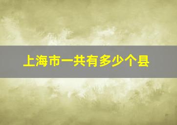 上海市一共有多少个县