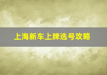 上海新车上牌选号攻略