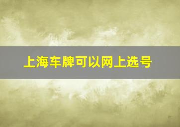 上海车牌可以网上选号