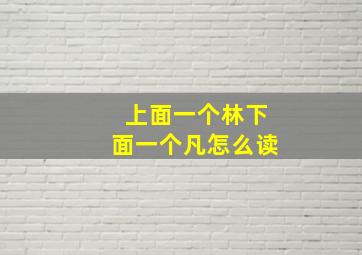 上面一个林下面一个凡怎么读