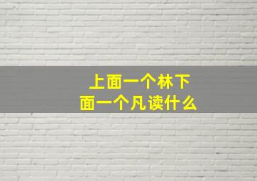 上面一个林下面一个凡读什么