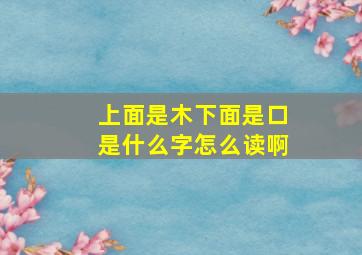 上面是木下面是口是什么字怎么读啊