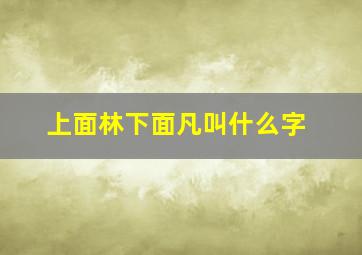 上面林下面凡叫什么字