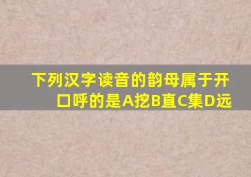 下列汉字读音的韵母属于开口呼的是A挖B直C集D远