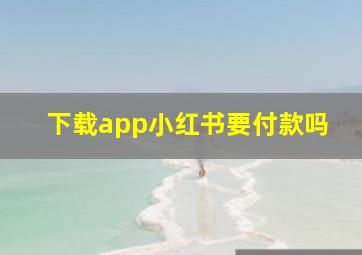 下载app小红书要付款吗