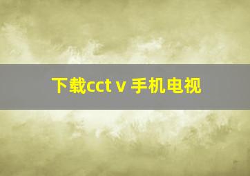 下载cctⅴ手机电视