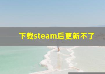 下载steam后更新不了