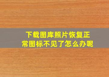 下载图库照片恢复正常图标不见了怎么办呢